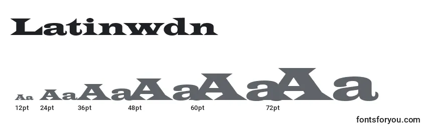 Размеры шрифта Latinwdn