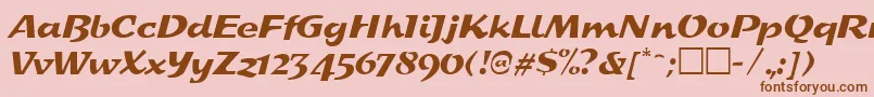 フォントSplashRegular – ピンクの背景に茶色のフォント