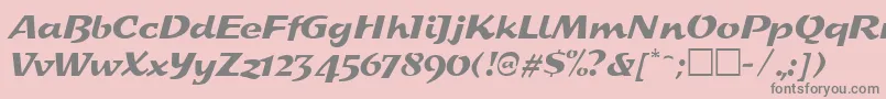 フォントSplashRegular – ピンクの背景に灰色の文字
