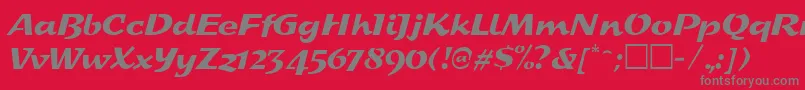 SplashRegular Font – Gray Fonts on Red Background