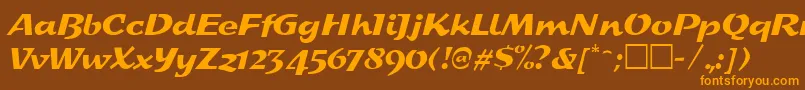 SplashRegular-Schriftart – Orangefarbene Schriften auf braunem Hintergrund