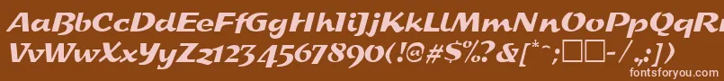 SplashRegular Font – Pink Fonts on Brown Background