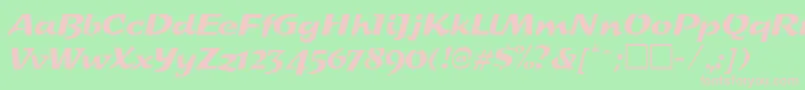 SplashRegular Font – Pink Fonts on Green Background