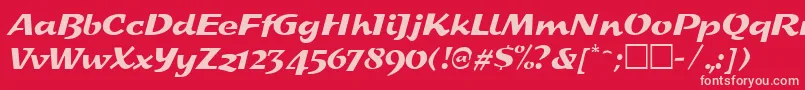 SplashRegular Font – Pink Fonts on Red Background