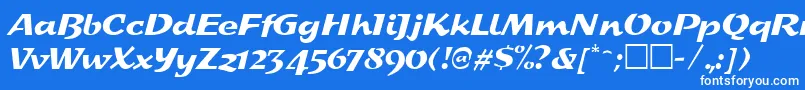 SplashRegular Font – White Fonts on Blue Background