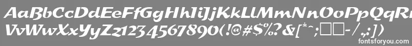 フォントSplashRegular – 灰色の背景に白い文字