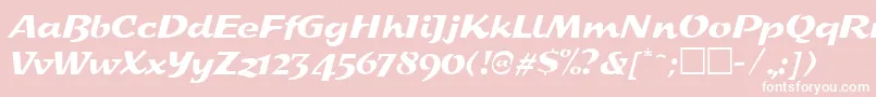 SplashRegular Font – White Fonts on Pink Background