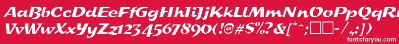 フォントSplashRegular – 赤い背景に白い文字