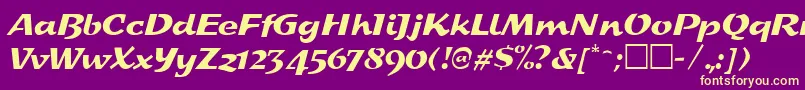 SplashRegular Font – Yellow Fonts on Purple Background