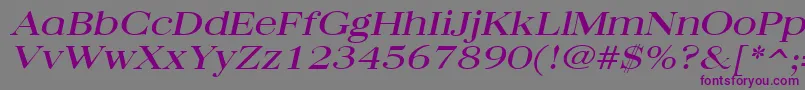 QuantasbroadItalic Font – Purple Fonts on Gray Background