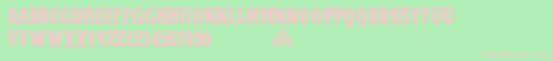 IfcWildrodeoBold2 Font – Pink Fonts on Green Background