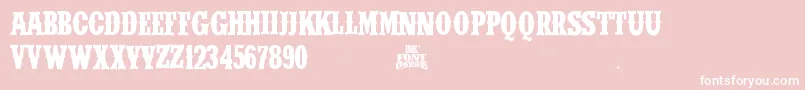 Police IfcWildrodeoBold2 – polices blanches sur fond rose