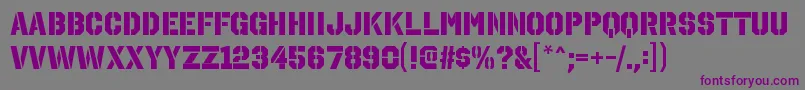 OctinstencilhvRegular Font – Purple Fonts on Gray Background