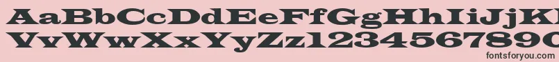 Latinwid Font – Black Fonts on Pink Background