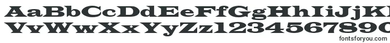 Latinwid Font – Filled Fonts