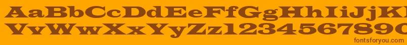 Latinwid-Schriftart – Braune Schriften auf orangefarbenem Hintergrund