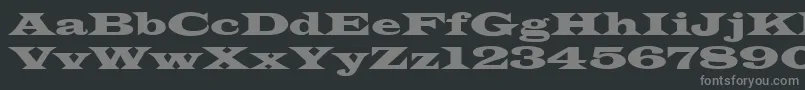 Weitere Informationen zur Latinwid-Schriftart Latinwid-Schriftart – Graue Schriften auf schwarzem Hintergrund