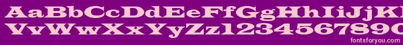 Latinwid Font – Pink Fonts on Purple Background