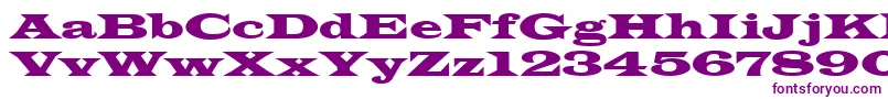 Latinwid Font – Purple Fonts on White Background