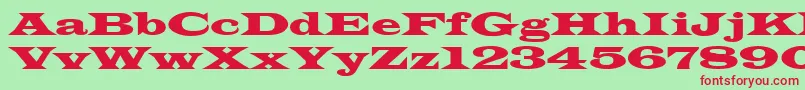 Latinwid Font – Red Fonts on Green Background