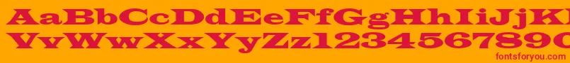 Latinwid-Schriftart – Rote Schriften auf orangefarbenem Hintergrund