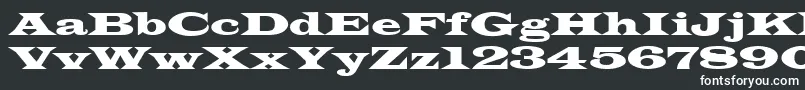 Latinwid-Schriftart – Weiße Schriften