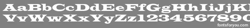 フォントLatinwid – 灰色の背景に白い文字