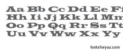 Review of the Latinwid Font