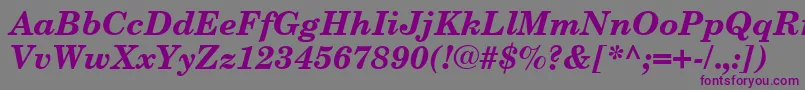 フォントNewCenturySchoolbookCeBoldItalic – 紫色のフォント、灰色の背景