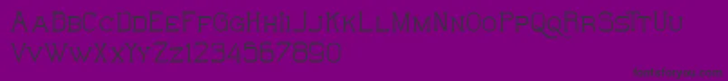 TheWildHammersDemo Font – Black Fonts on Purple Background