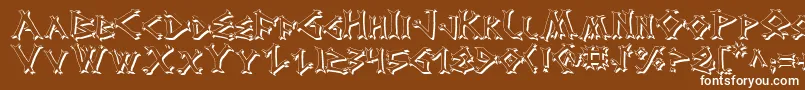 Dragv2s2 Font – White Fonts on Brown Background