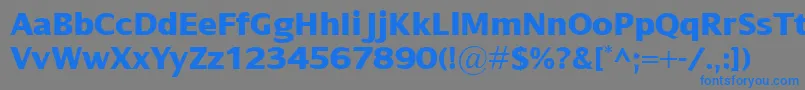 DialogXbold Font – Blue Fonts on Gray Background