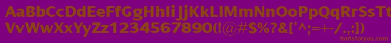 DialogXbold Font – Brown Fonts on Purple Background