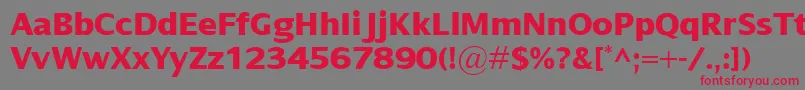 DialogXbold Font – Red Fonts on Gray Background