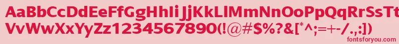 DialogXbold Font – Red Fonts on Pink Background