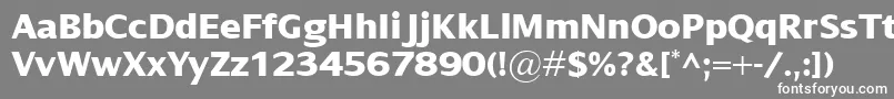 フォントDialogXbold – 灰色の背景に白い文字