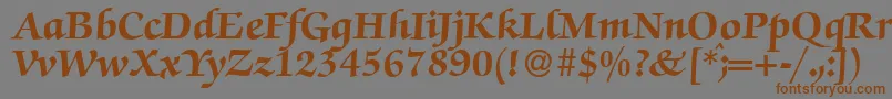 ZabriskiescriptHeavyRegular Font – Brown Fonts on Gray Background