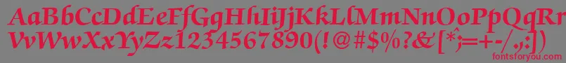 ZabriskiescriptHeavyRegular Font – Red Fonts on Gray Background