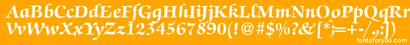 ZabriskiescriptHeavyRegular Font – White Fonts on Orange Background