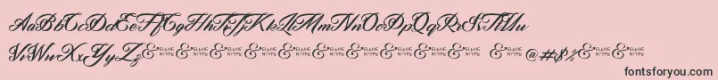 ZephanDemoVer Font – Black Fonts on Pink Background