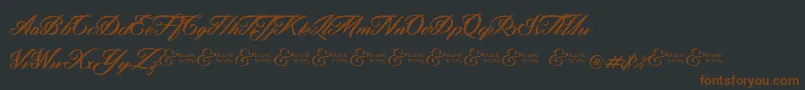 ZephanDemoVer Font – Brown Fonts on Black Background