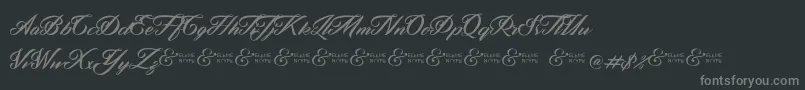 ZephanDemoVer Font – Gray Fonts on Black Background