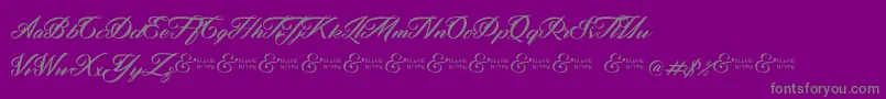 Шрифт ZephanDemoVer – серые шрифты на фиолетовом фоне