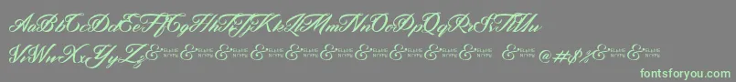 ZephanDemoVer Font – Green Fonts on Gray Background
