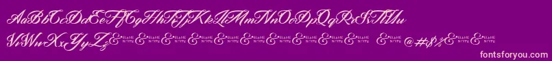 ZephanDemoVer Font – Pink Fonts on Purple Background