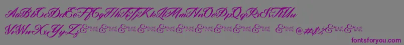 Шрифт ZephanDemoVer – фиолетовые шрифты на сером фоне