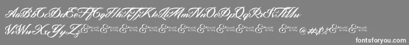 ZephanDemoVer Font – White Fonts on Gray Background