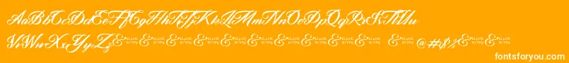 ZephanDemoVer Font – White Fonts on Orange Background