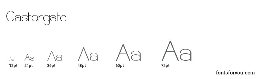 Castorgate Font Sizes