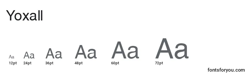 Yoxall Font Sizes